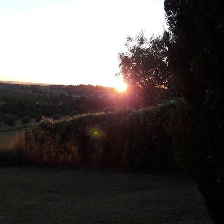 I Fagiani B&B Rimini Bagian luar foto
