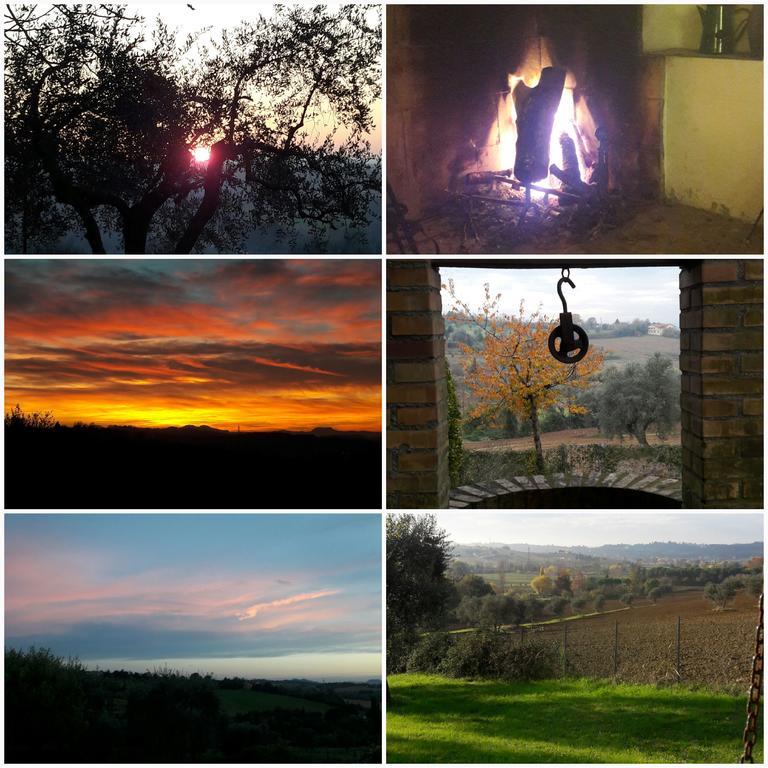 I Fagiani B&B Rimini Bagian luar foto
