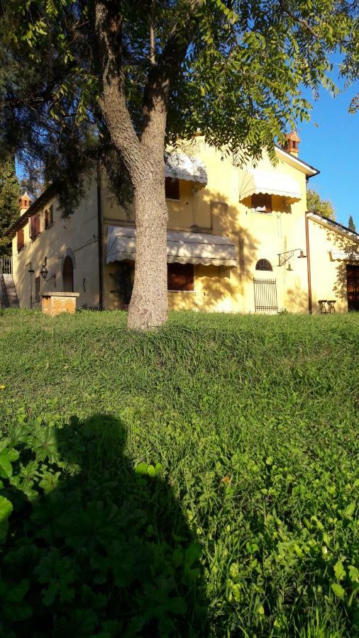 I Fagiani B&B Rimini Bagian luar foto
